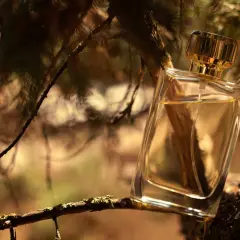 Elegancka butelka perfum o zapachu drzewa sandałowego, umieszczona na gałęzi wśród leśnej zieleni.
