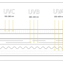 Promienie UVA i UVB docierają do skóry, podczas gdy UVC jest blokowane przez warstwę ozonu.