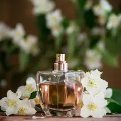 Perfumy w szklanej butelce otoczone białymi kwiatami jaśminu. Zapach jaśminu unosi się w powietrzu, tworząc romantyczną atmosferę.