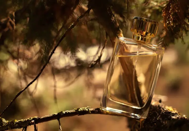 Elegancka butelka perfum o zapachu drzewa sandałowego, umieszczona na gałęzi wśród leśnej zieleni.