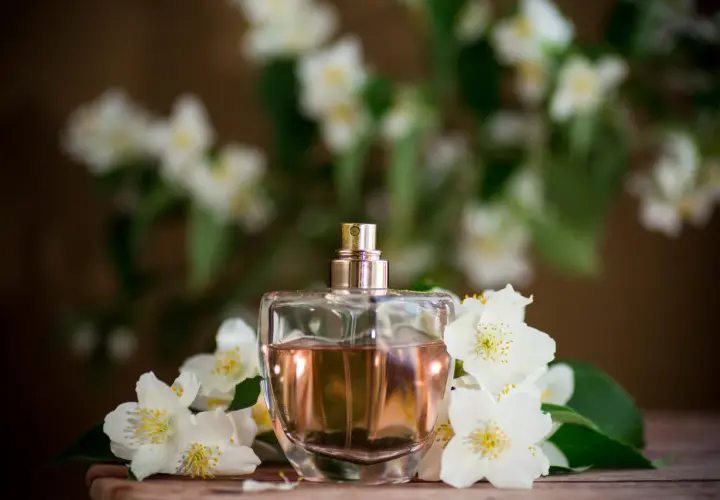 Perfumy w szklanej butelce otoczone białymi kwiatami jaśminu. Zapach jaśminu unosi się w powietrzu, tworząc romantyczną atmosferę.
