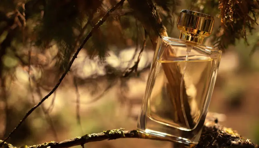 Elegancka butelka perfum o zapachu drzewa sandałowego, umieszczona na gałęzi wśród leśnej zieleni.