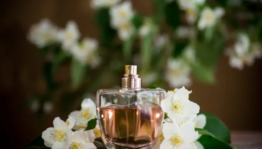 Perfumy w szklanej butelce otoczone białymi kwiatami jaśminu. Zapach jaśminu unosi się w powietrzu, tworząc romantyczną atmosferę.