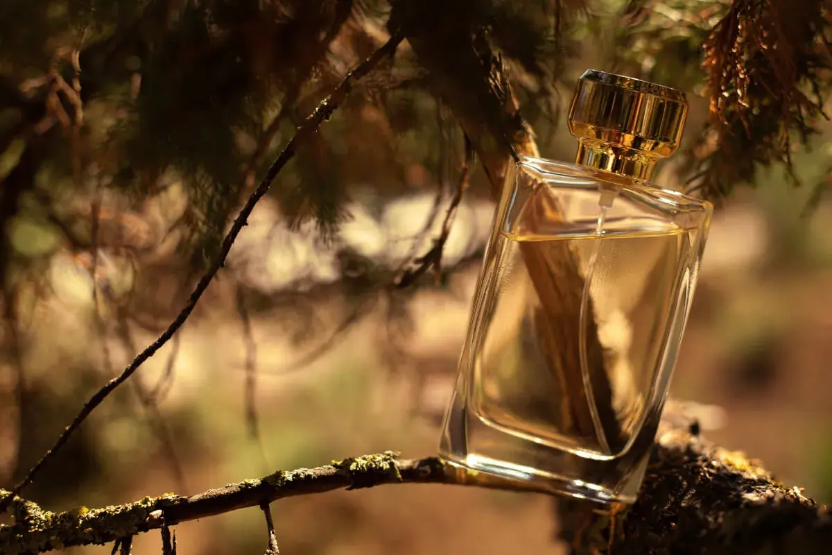 Elegancka butelka perfum o zapachu drzewa sandałowego, umieszczona na gałęzi wśród leśnej zieleni.